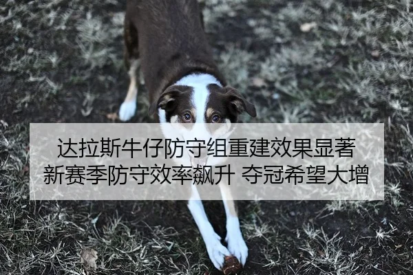 达拉斯牛仔防守组重建效果显著 新赛季防守效率飙升 夺冠希望大增